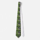 Boston Terrier Puppy Tie