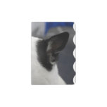 Canaan Dog Passport Holder