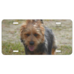Customize Product License Plate