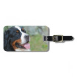 Cute Bernese Luggage Tag