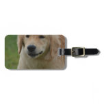 Cute Golden Retriever Puppy Luggage Tag