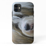 Cute Tibetan Terrier Dog iPhone 11 Case