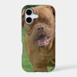 Dogue de Bordeaux iPhone 17 Case