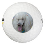 Grinning White Standard Poodle Golf Balls