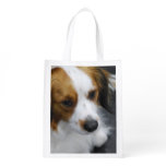 Kooikerhondje Dog Reusable Grocery Bag