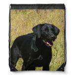 Labrador Retriever Drawstring Bag