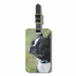 Luggage Tag - Customized