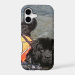 Newfoundland Dog iPhone 17 Case
