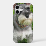 Schnauzer Dog iPhone 17 Case