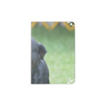Smiling Rottweiler Passport Holder