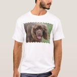 Sussex Spaniel T-Shirt