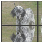 Sweet Black and White English Setter Fabric