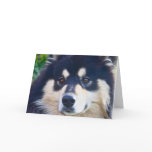 Sweet Finnish Lapphund Greeting Card