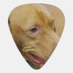 Vizsla Dog Guitar Pick